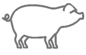 pigoutline